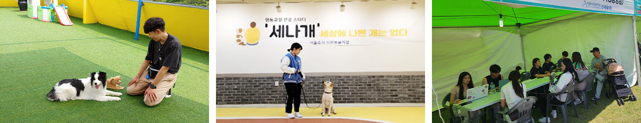 재학 중 반려견 행동교정 외부 실무 실습 기회 제공